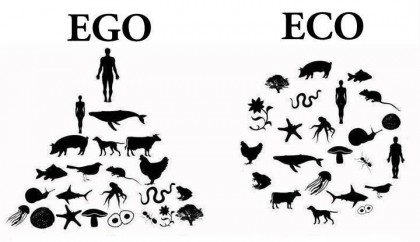 ego_vs_eco
