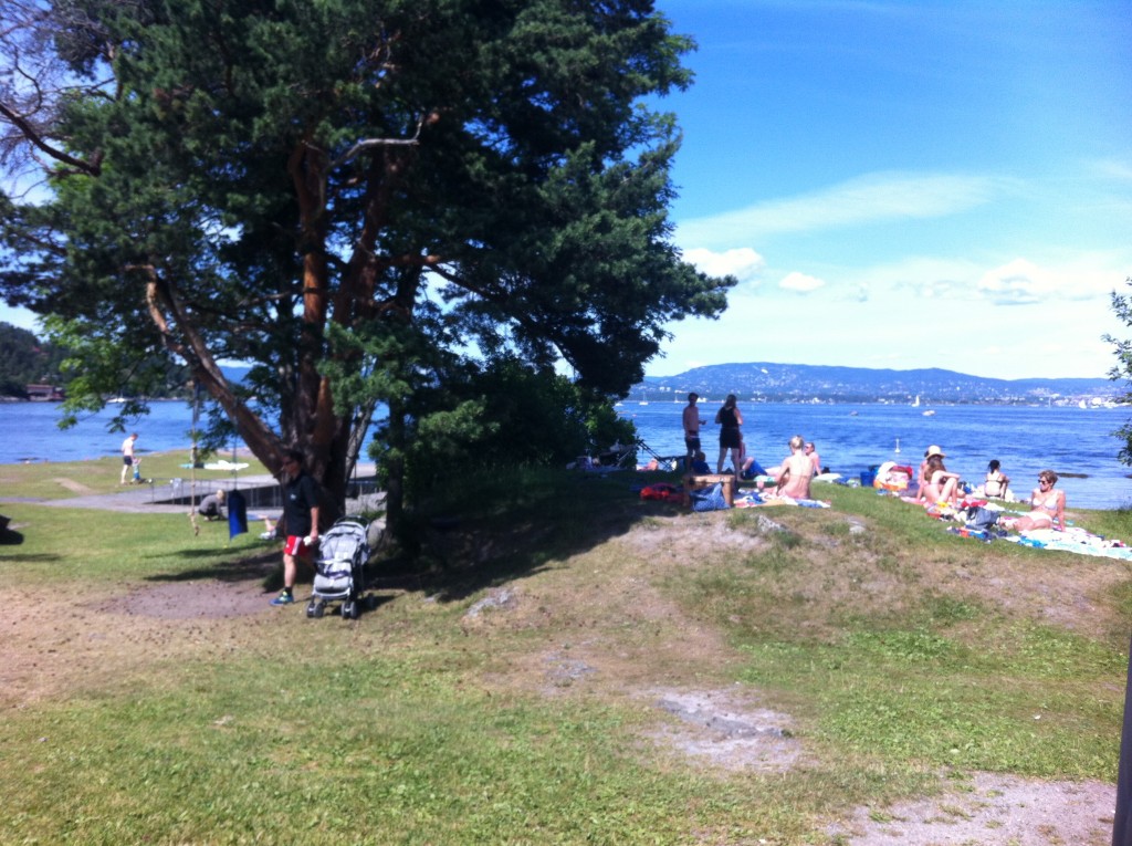 Utsikt fra Hellviktangen kafé. Foto.