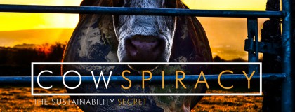 Dokumentaren Cowspiracy: The Sustainability Secret tar opp husdyrproduksjonens påvirkning på klimaet.