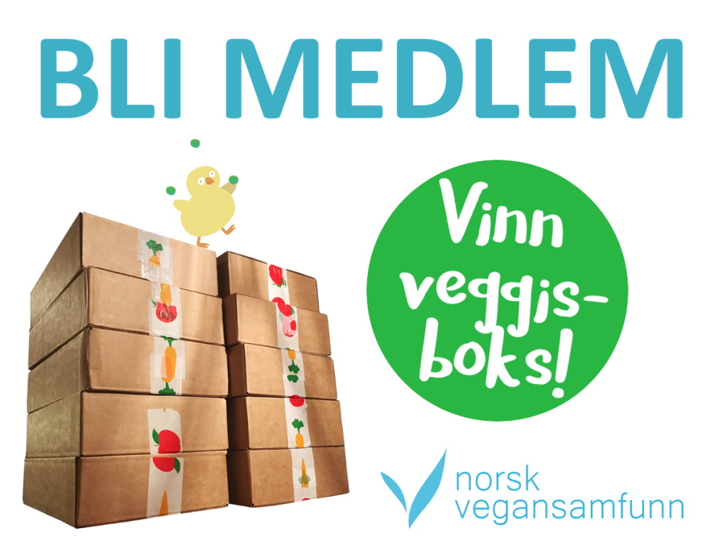 Bli medlem, vinn veggisboks!