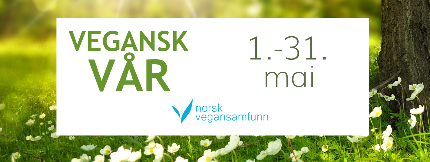Vegantreff mai