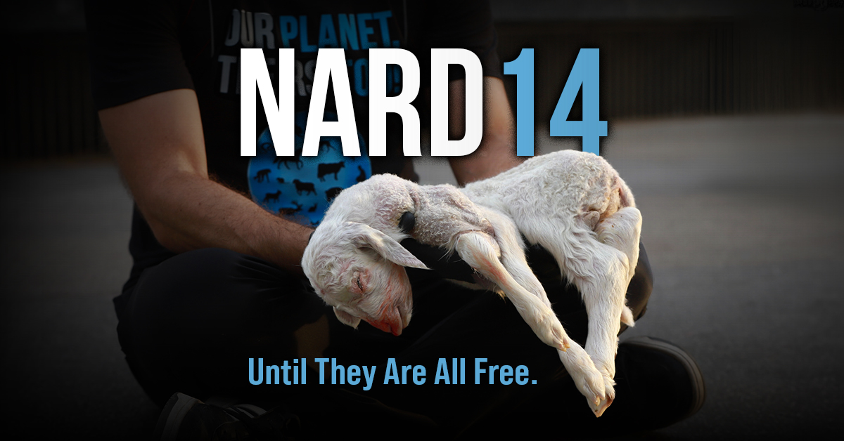 NARD – National animal rights day